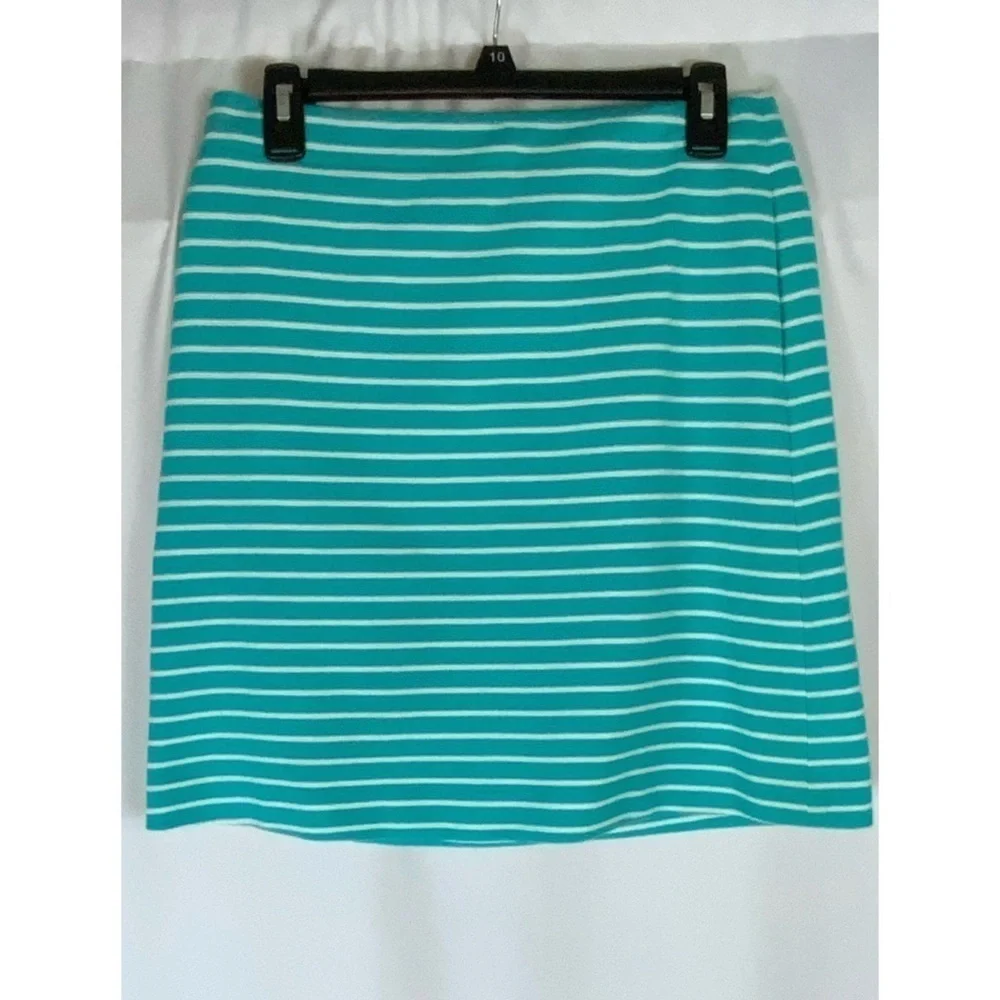 Talbots Aqua & White Striped A-Line Stretchy Skirt With Pockets 2P